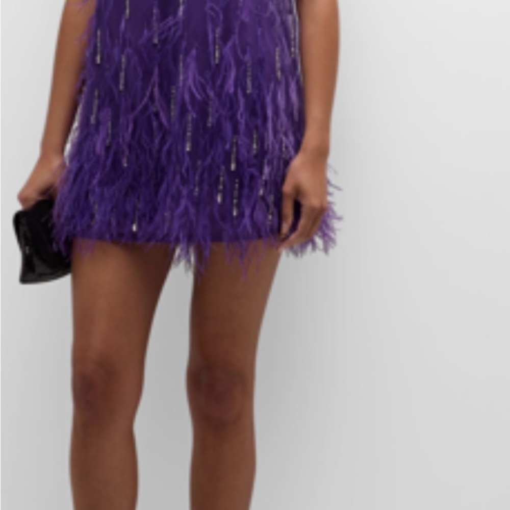 Feather Embellished Elegant Purple Sheer Dress with second piece under dress - Picture 7 of 15